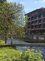 Экскурсия "Гранд-тур в Абхазию: Гагра, озеро Рица и Новый Афон" - фото отзыва 3