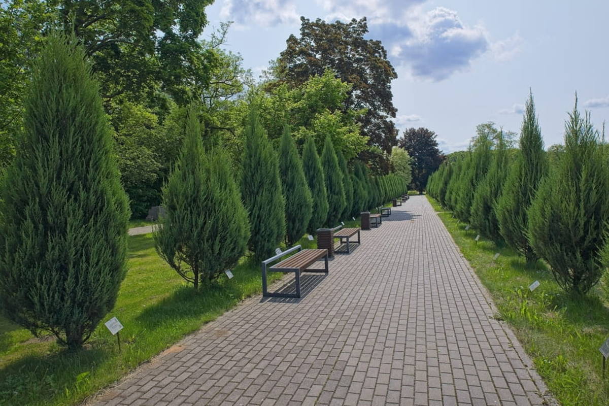 Центральный ботанический сад