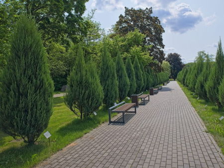 Центральный ботанический сад