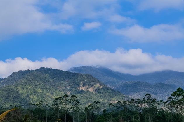 Прогулка по рисовым террасам, Зал предков Ли и лес Учжишань