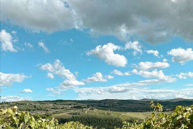 Виды Ртвели в грузинской семье: участие, дегустации, застолье