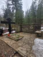 Экскурсия "Комарово (Лесная сторона). От старинных дач до "будки" Ахматовой." - фото отзыва 5