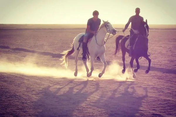 Horseriding in Hurghada — photo 3, Hurghada | Pokataem