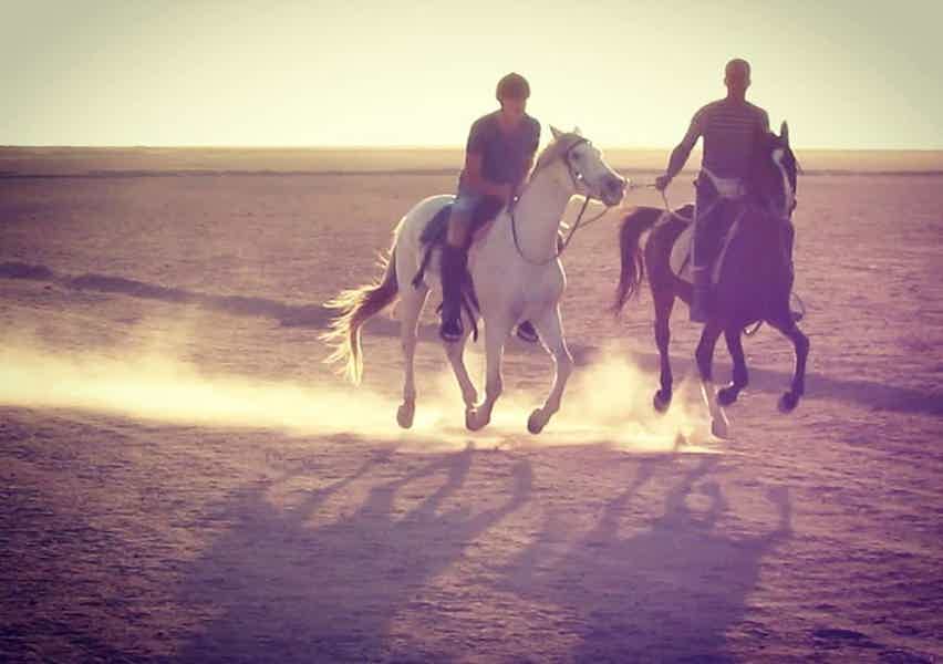 Прогулки на лошадях в Хургаде для новичков и опытых всадников - фото 2
