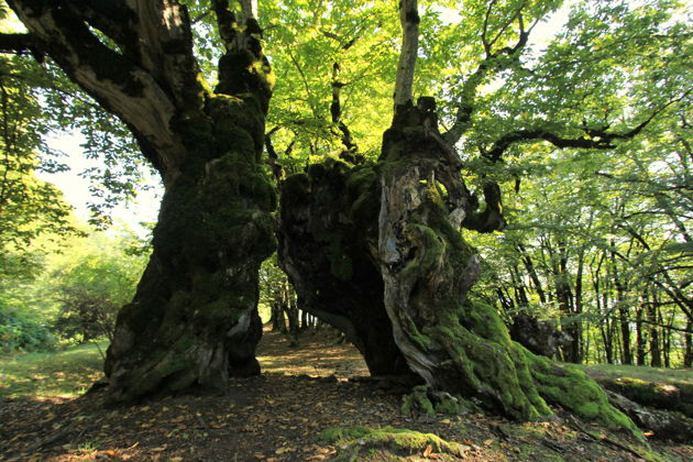 Виды Загатала: едем искать русские следы