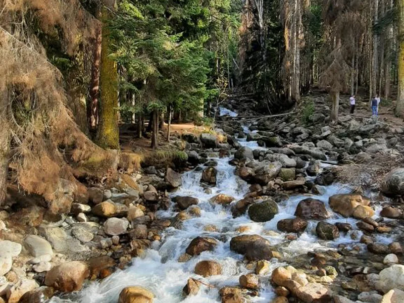 Домбай — Кавказская Швейцария из Кисловодска — фото 7, Кисловодск | Покатаем