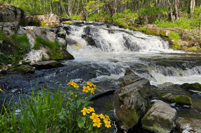 Фьорды и великолепие водопадов Кольского берега зимой и летом! 