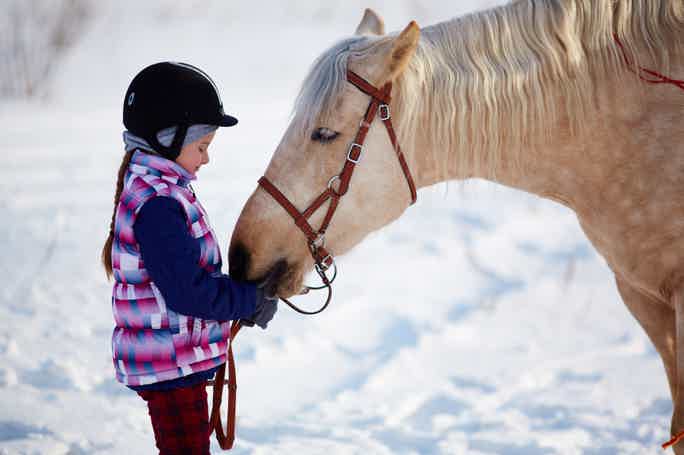 Знакомимся с лошадьми и учимся кататься верхом — детская конная прогулка