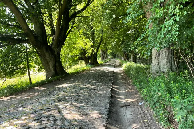 Балтийские курорты Светлогорск , Зеленоградск, Янтарный, Пионерский — фото 2