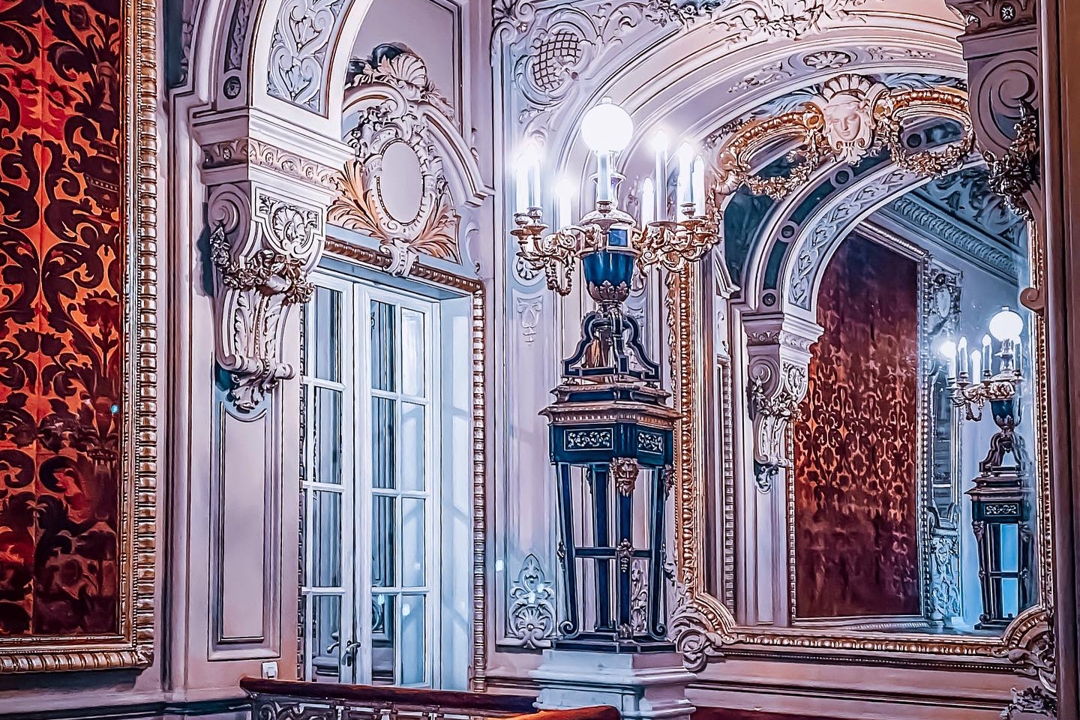Экскурсия по Владимирскому дворцу в мини-группе — фото 4