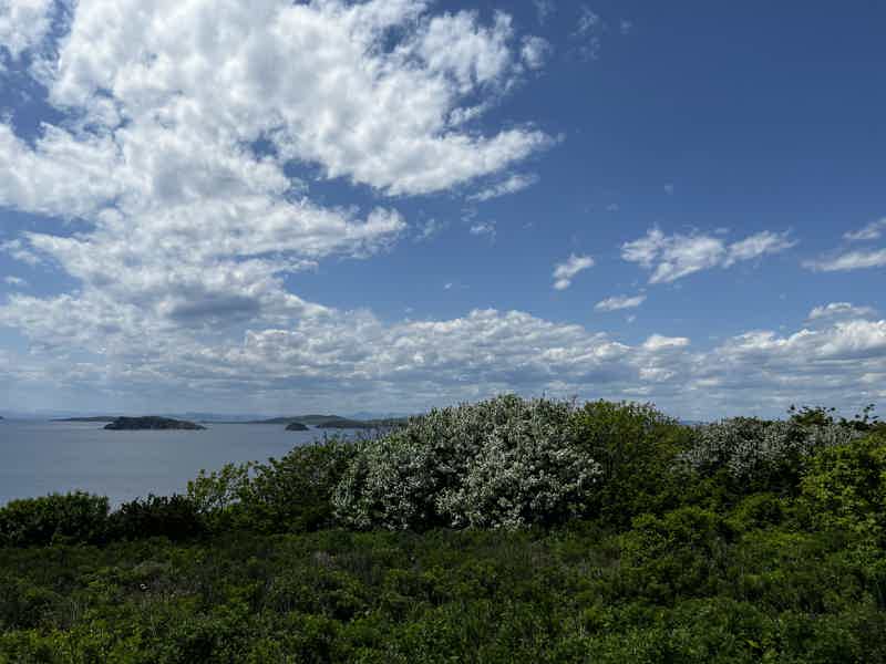 Джип-тур на остров Шкота с посещением береговой Батареи 982 - фото 4