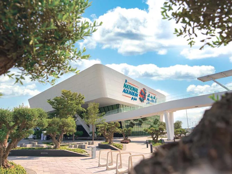 Билет в National Aquarium Абу-Даби: в гости к Посейдону — фото 2, Абу-Даби | Покатаем