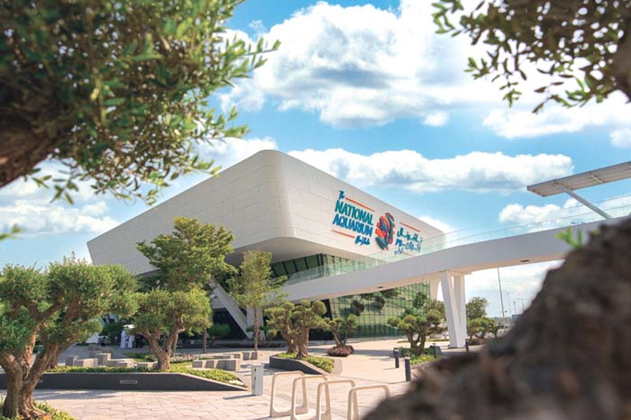 Билет в National Aquarium Абу-Даби: в гости к Посейдону