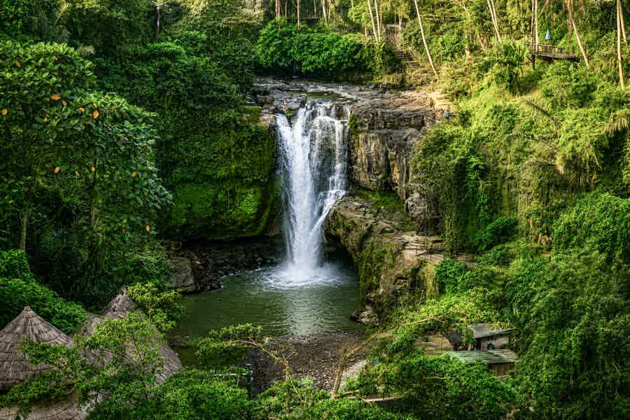 Лучшее в Убуде: водопады и рисовые террасы - фото 4
