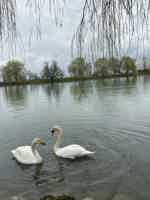 Экскурсия "Язык Тролля, Балкария и термальные источники из Железноводска" - фото отзыва 4