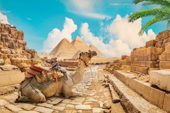 Старый Каир и пирамиды Гизы из Хургады