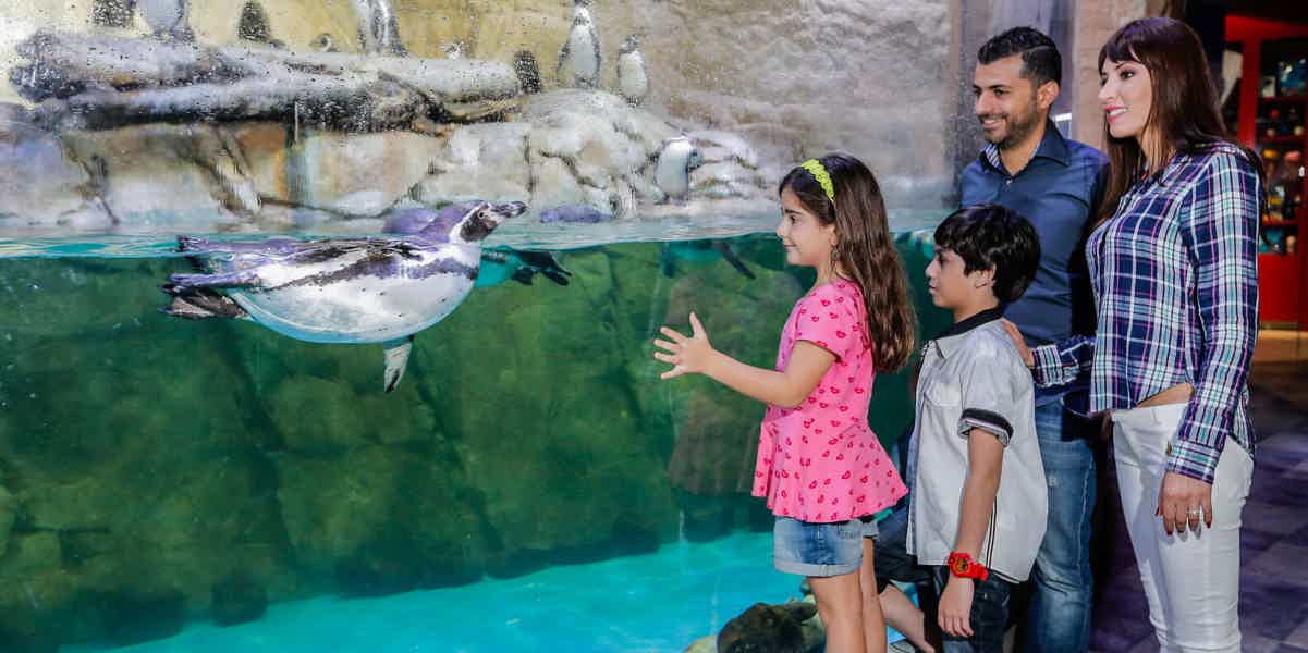 Дубайский аквариум и «Бурдж-Халифа»: пакетное предложение - фото 5
