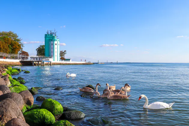 На катере из Калининграда в Балтийск: корабли, канал и заводы — фото 2