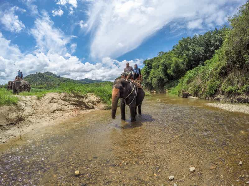 Большое тайское путешествие: рафтинг, сафари и водопад - фото 5