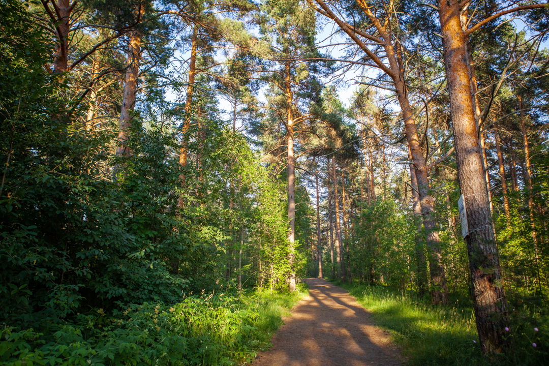 Урочище «Чертов Стул» и Петрозаводск — фото 8