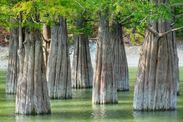 Главное изображение экскурсии - Кипарисовое озеро и заповедный Утриш