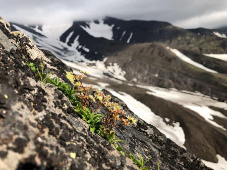 Голубые озёра