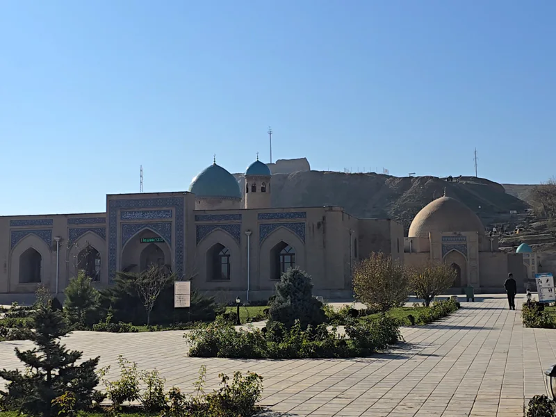 Поездка в пустыню Кызыл Кум и соленное озеро Айдаркуль — фото 5, Самарканд | Покатаем