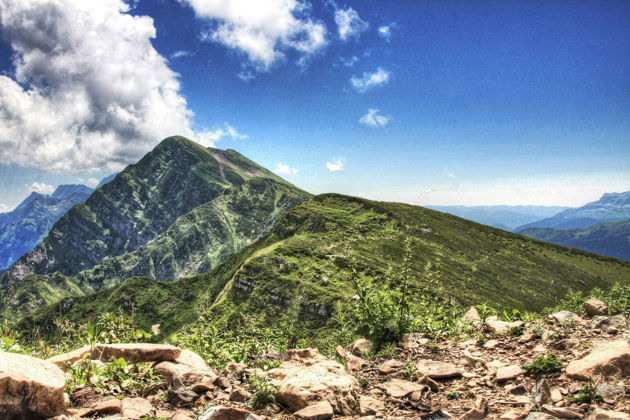 Виды Красная Поляна заповедная