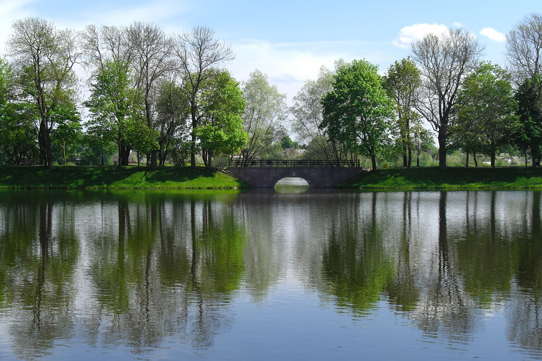 Экскурсия в Несвижский дворец и Мирский замок — фото 7