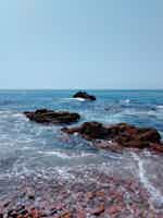 Экскурсия "Морское приключение, морские котики и морепродукты во Владивостоке" - фото отзыва 1