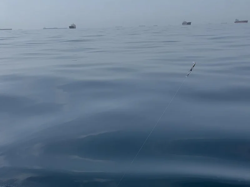 Fishing in Fujairah: Tuna, Mahi-Mahi — photo 7, Dubai | Pokataem