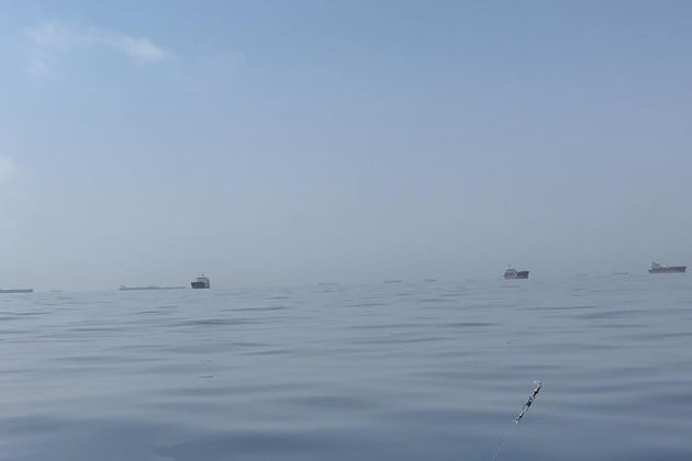 Виды Рыбалка на Фуджейре: тунец, махи-махи