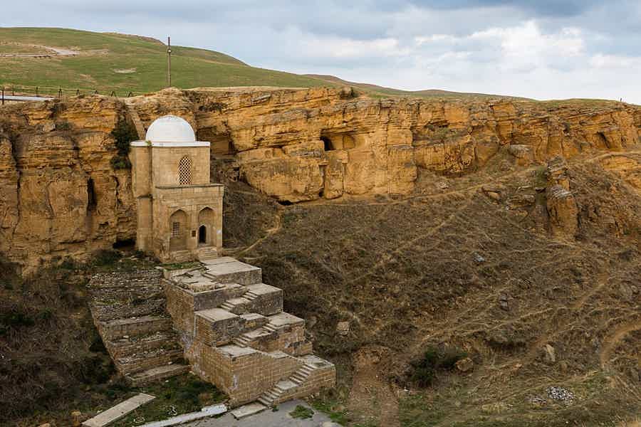 Альпаки и горные просторы: экскурсия в заповедник из Баку - фото 6