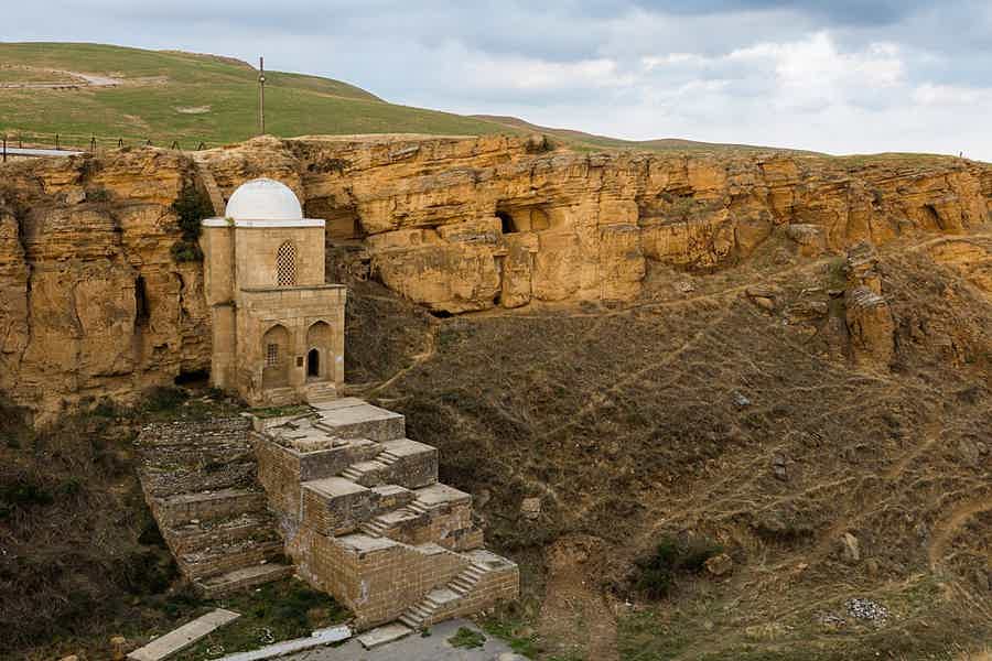 Альпаки и горные просторы — экскурсия в заповедник из Баку - фото 6