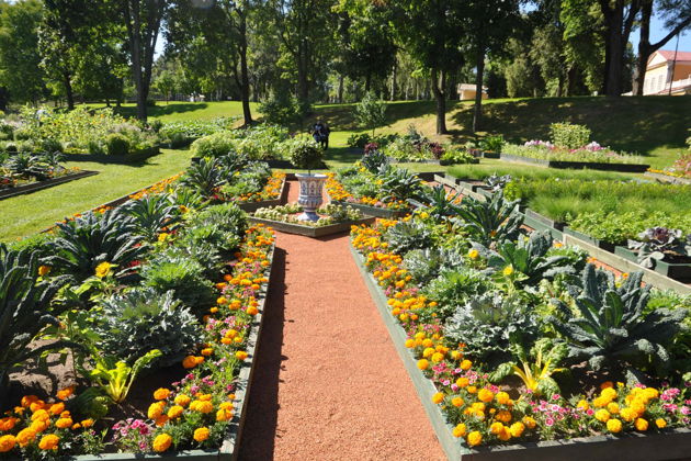 Виды Стрельна: «Путешествия и игры в жизни русского двора» (для школьных групп)