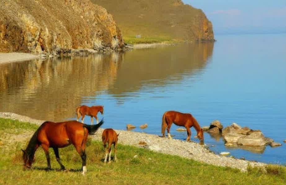 Вдоль берега Байкала — конная прогулка по Ольхону  - фото 2