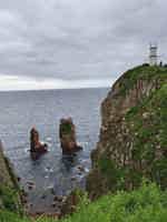 Экскурсия "Морской день в Приморье: купание, катер и морепродукты" - фото отзыва 1