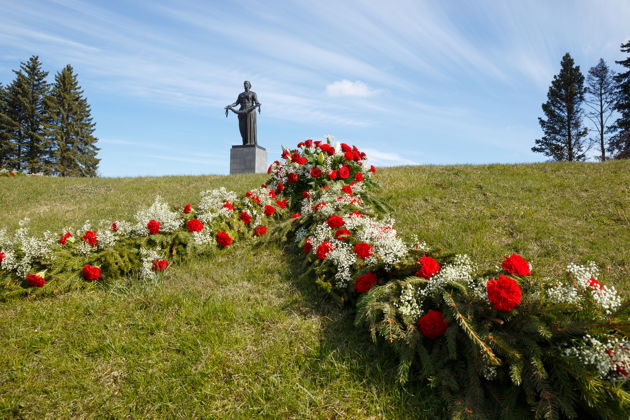 Фото к экскурсии Индивидуальная экскурсия «Блокадный Ленинград» на минивене