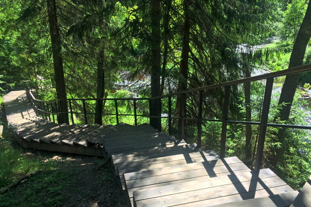 Виды Природная экскурсия по Линдуловской роще