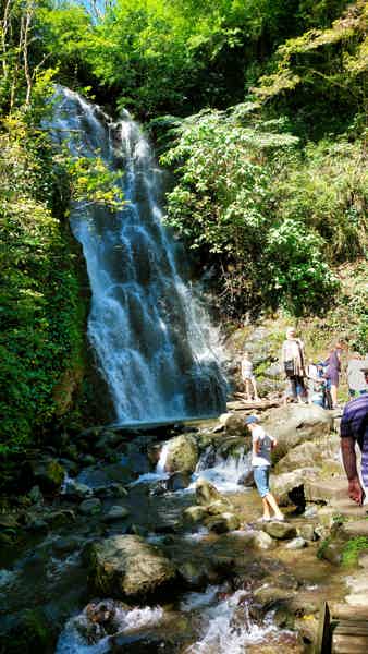 Экскурсия к водопадам Аджарии: 6 красивейших водопадов за 1 день - фото 2