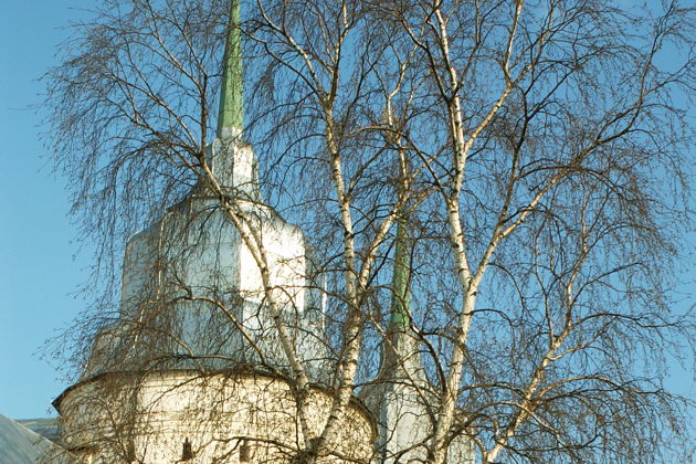 Виды Экскурсия по святыням Ярославля