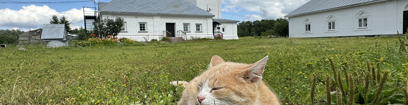 Гороховец — чудо на Клязьме