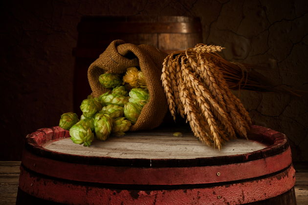 Виды «Хмельное путешествие»: Гуслицы – пивоварня «Шварцкайзер» – Егорьевск