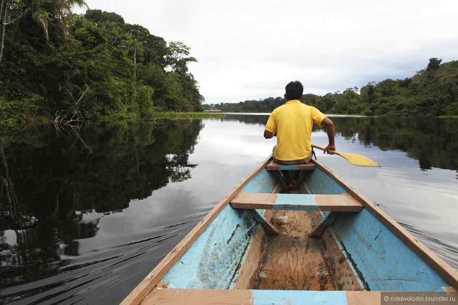 Джунгли Амазонии и отдых на море - фото 3
