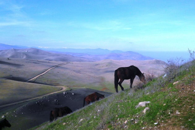 Виды Мистика горы 