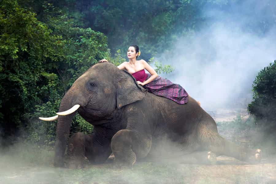 Приключение в джунглях Таиланда: фотосессия со слоном - фото 2