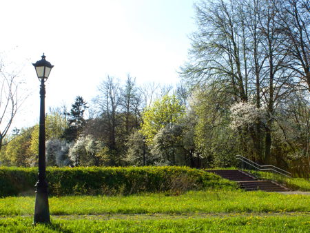 Бульвар по ул.Комсомольской