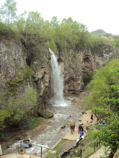 Альпака-парк и Медовые водопады: уютная поездка на полдня - фото 4