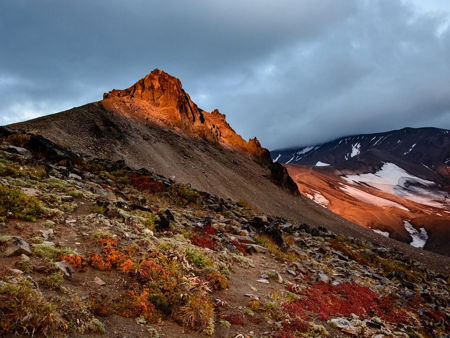 Авачинская бухта