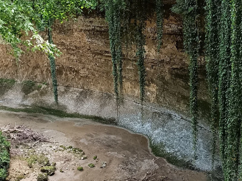 Кодорское ущелье: к водопадам, каньону и смотровой площадке — фото 4, Сухум | Покатаем